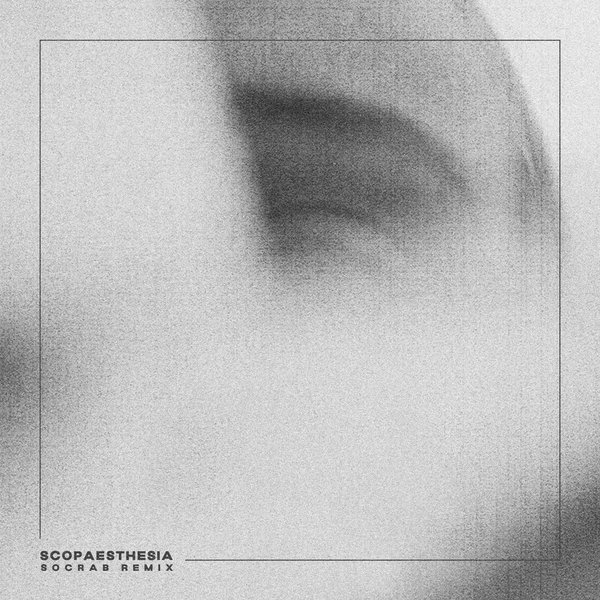 Scopaesthesia cover