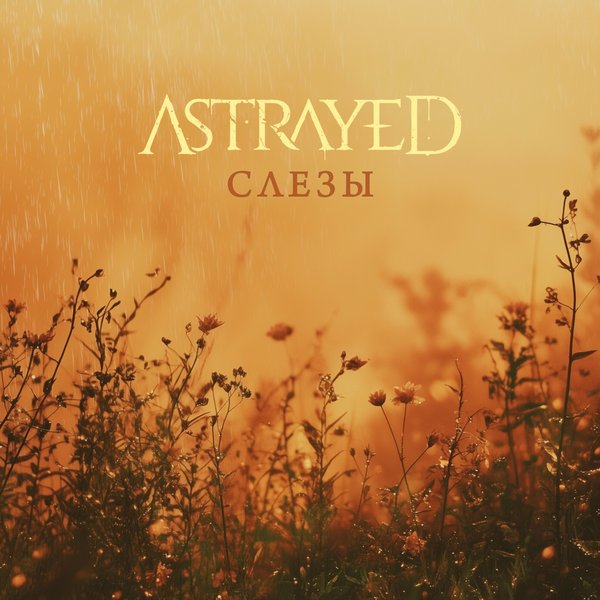 Слёзы cover