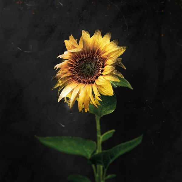 Hijack cover