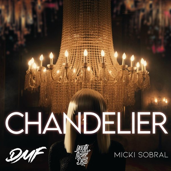 Chandelier cover