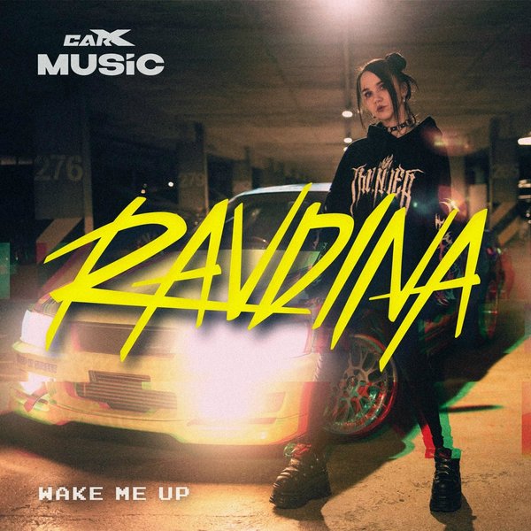 Wake Me Up cover