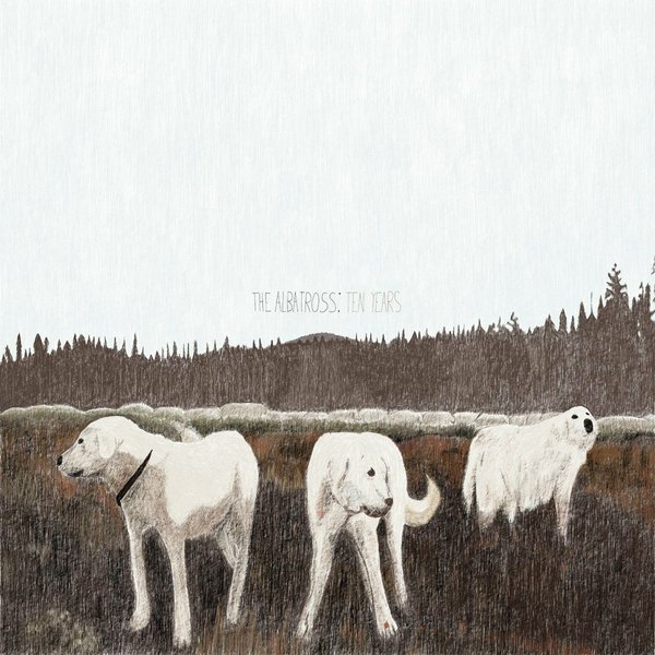 Bloodhound cover
