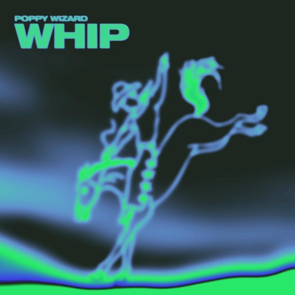 Whip cover