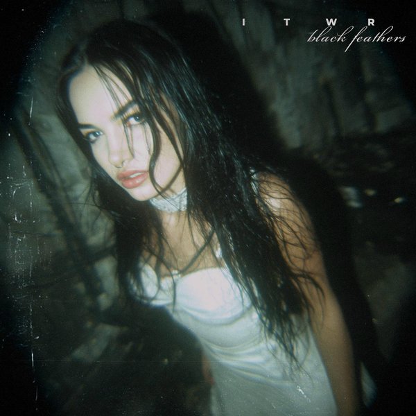 black feathers cover