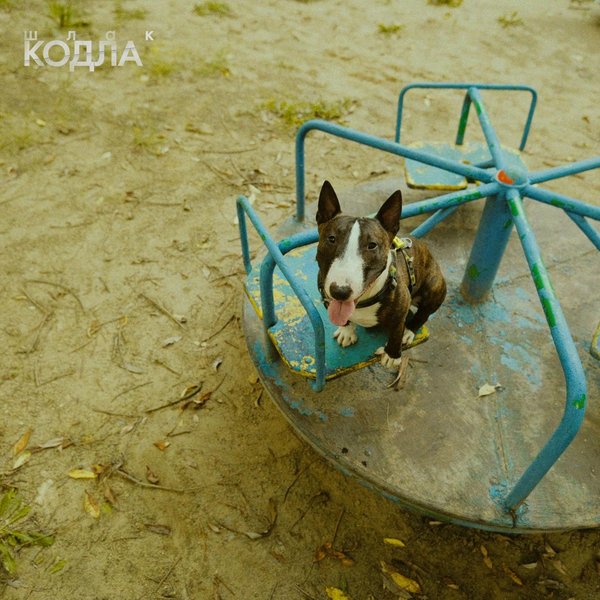 Шлак cover