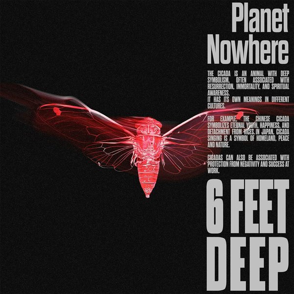 6 FEET DEEP cover