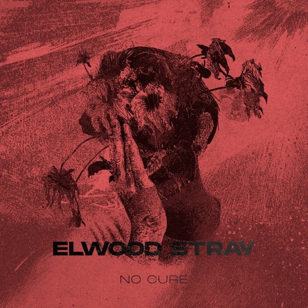 No Answer cover
