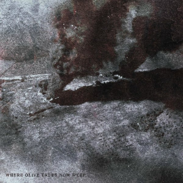 Where Olive Trees Now Weep cover