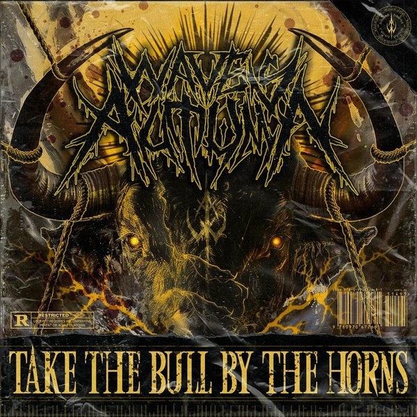 Take the Bull by the Horns cover