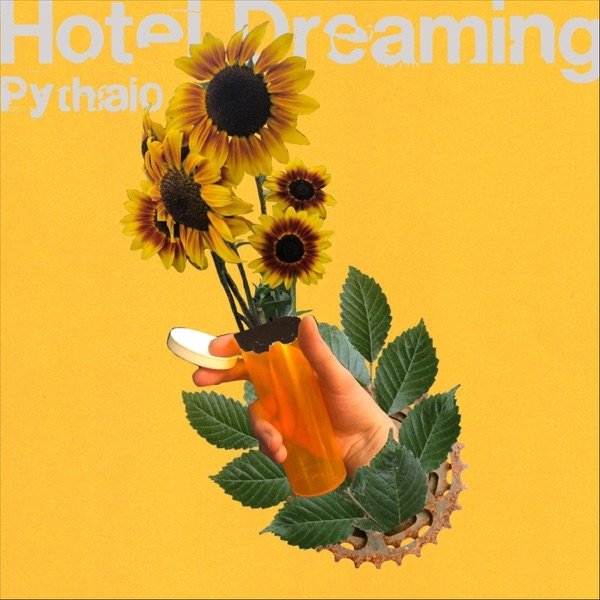 Hotel Dreaming cover