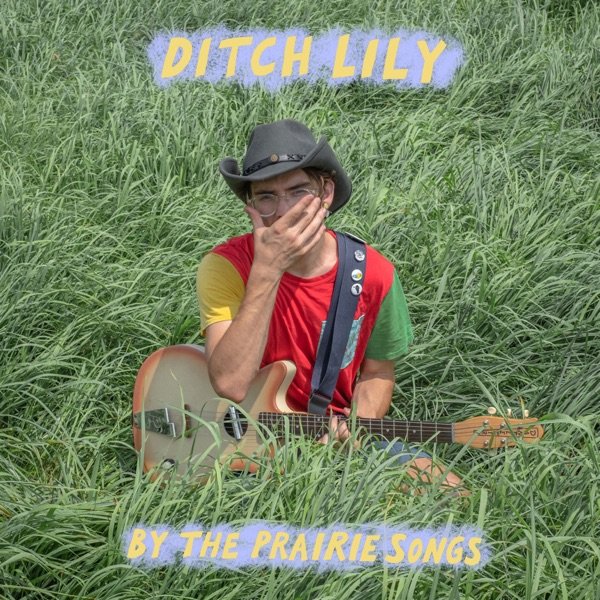 Swan Dive cover