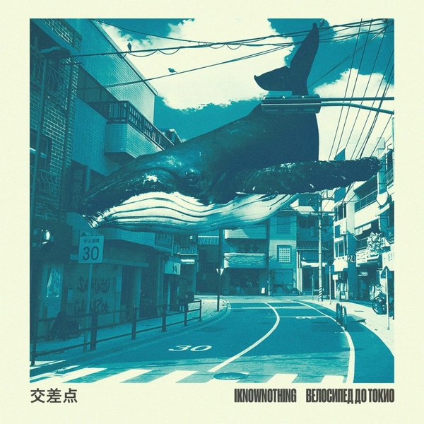 Whales cover