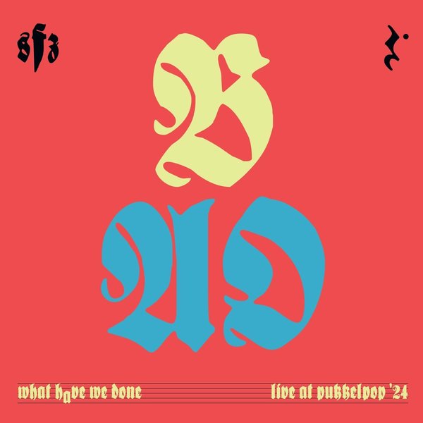 What Have We Done (Live at Pukkelpop) cover