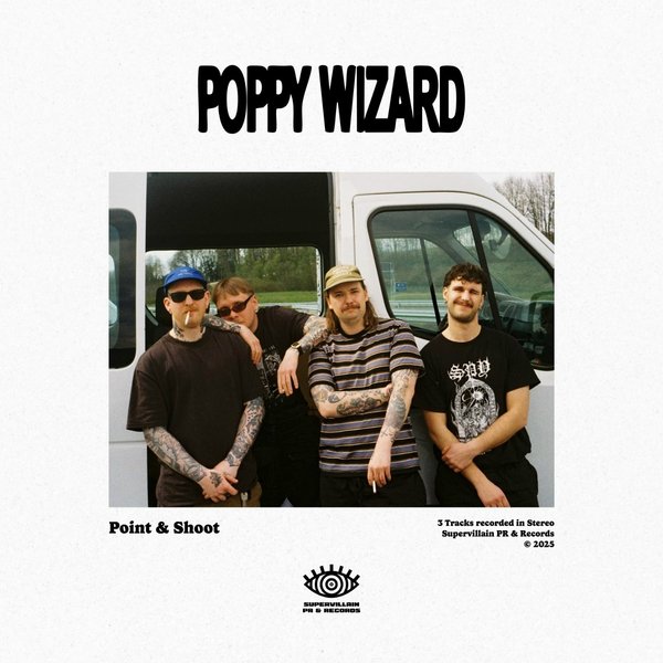 Maze cover