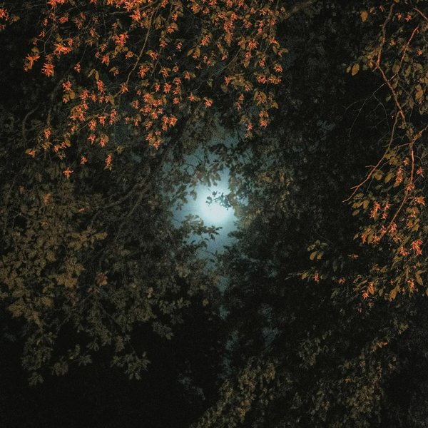 Indigo cover