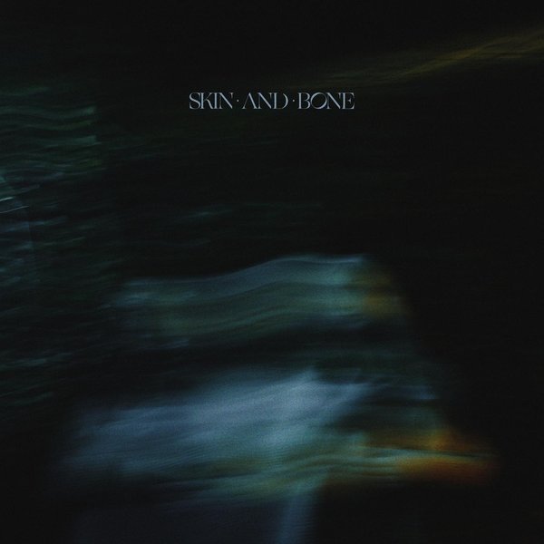Skin And Bone cover