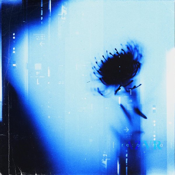 Re_ Anima cover