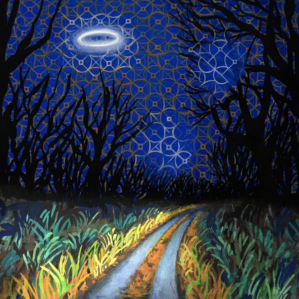 UFO INCIDENT cover