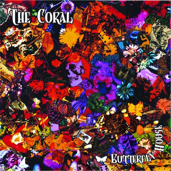 Butterflies cover