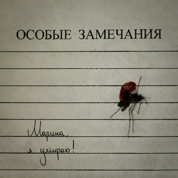 2727.27 cover