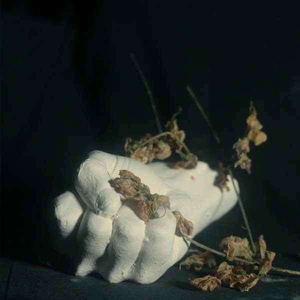 Husk cover