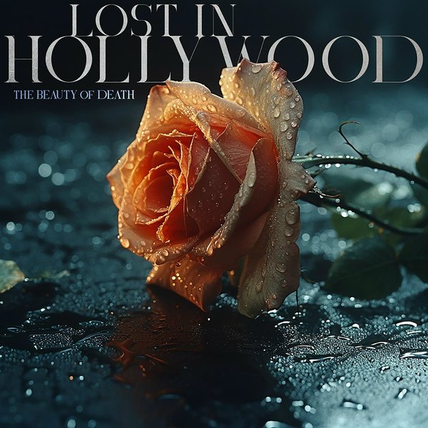 Midnight cover