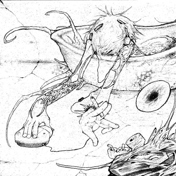 Hydra cover
