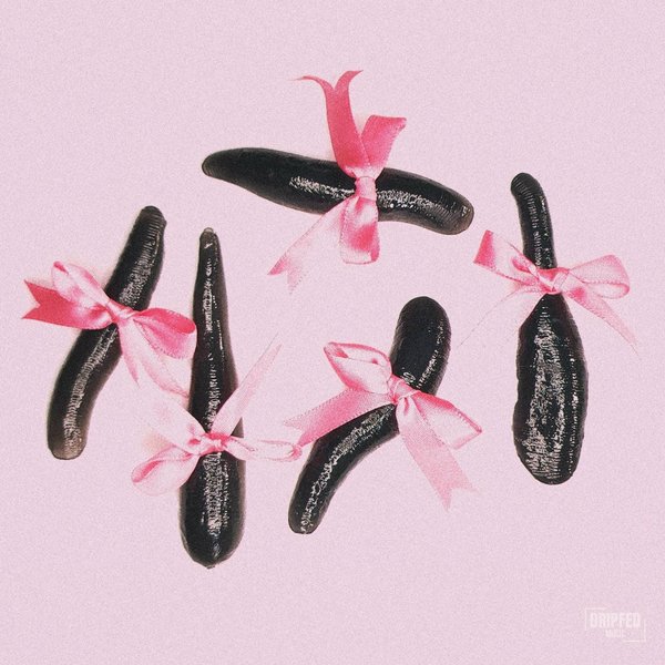 Leech (Toronto Is Broken Remix) cover