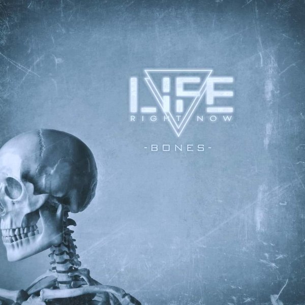 Bones cover