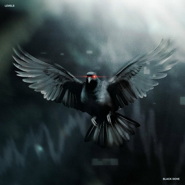 Black Dove cover