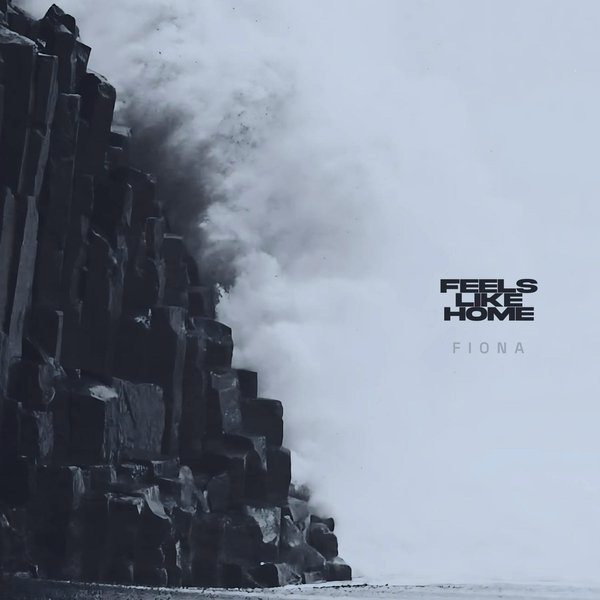 FIONA cover