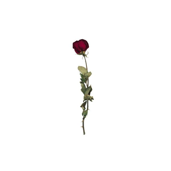 Память cover