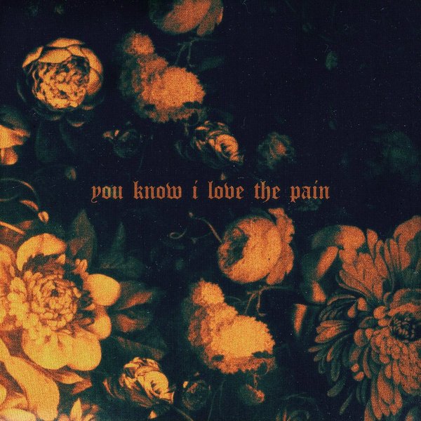 You Know I Love the Pain cover