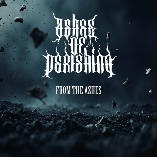 From the Ashes cover