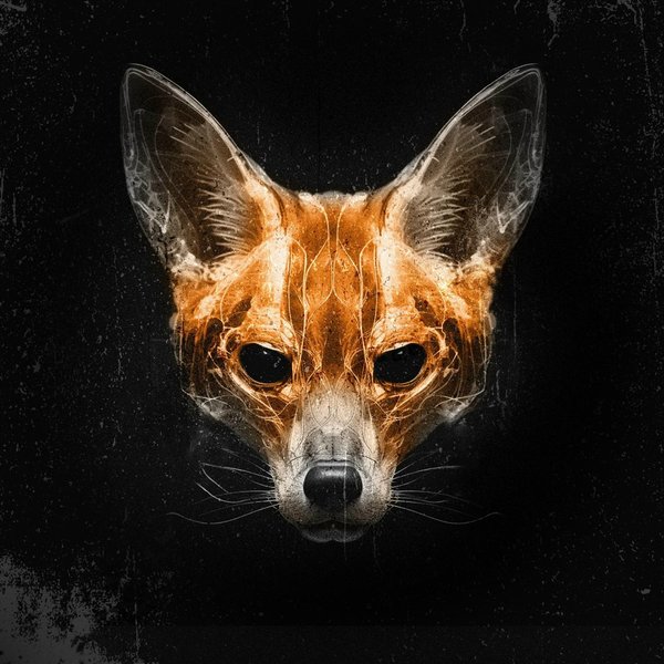 Alla cover