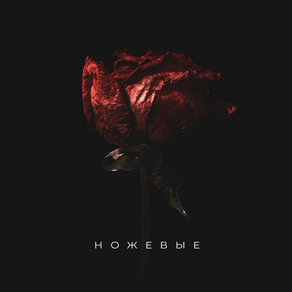 Ножевые cover