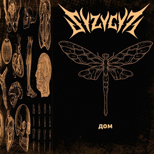 дом cover